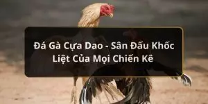 đá gà cựa dao